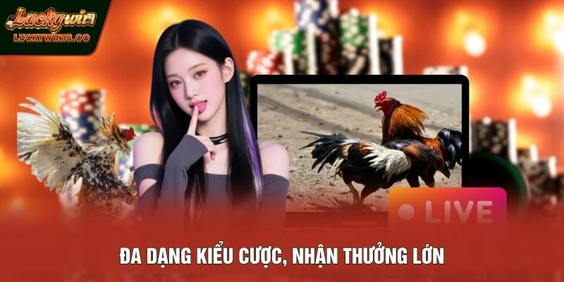 Đa dạng kiểu cược, nhận thưởng lớn