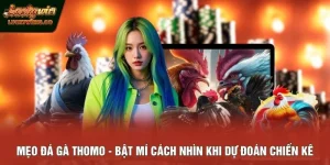 Mẹo đá gà Thomo